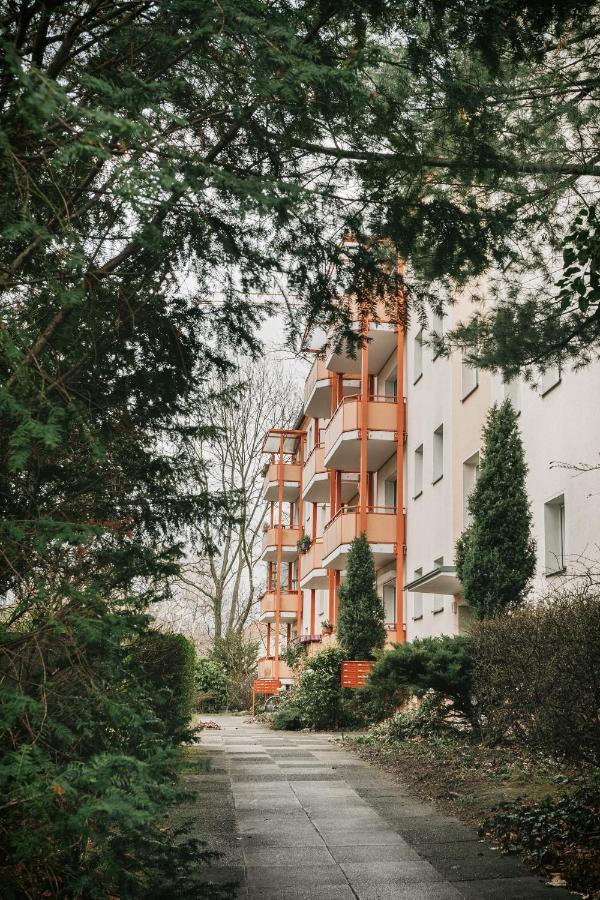 Schlummi Gemuetliche Zentrale & Saubere Wohnung Dresden Exterior foto